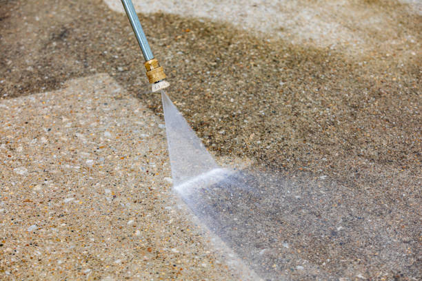 Best Animal Enclosure Cleaning  in Four Corners, TX